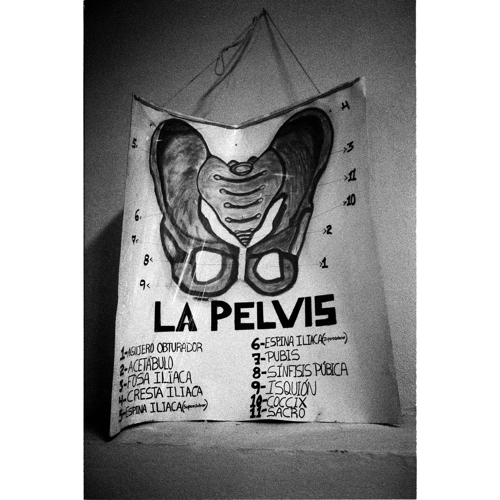 Drawing of the Pelvis at Honduras print, photograph by Tadd Myers