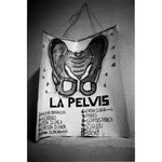 Honduras - La Pelvis, Rancho El Paraiso, Honduras