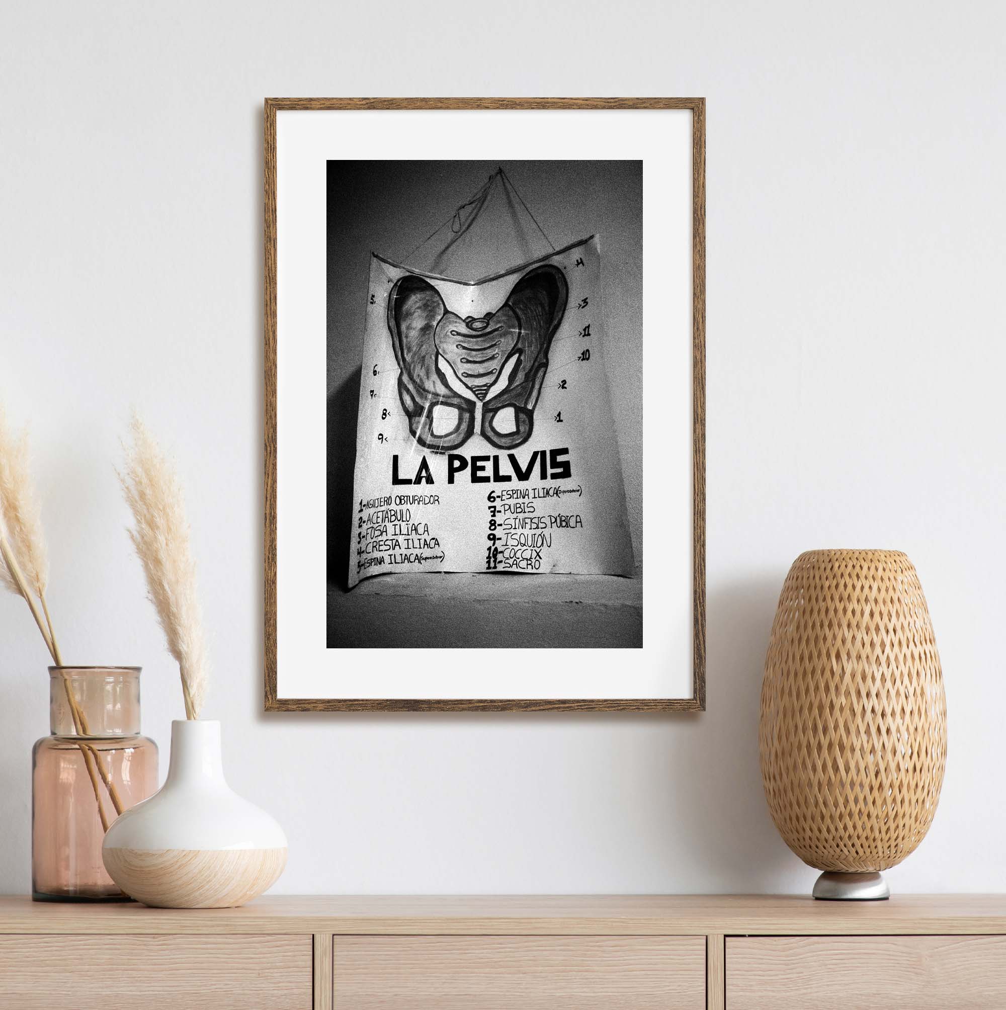 Drawing of the Pelvis at Honduras print, photograph by Tadd Myers