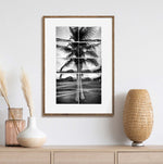 Coconut Tree, Rancho El Paraiso, Honduras print, photo by Tadd Myers