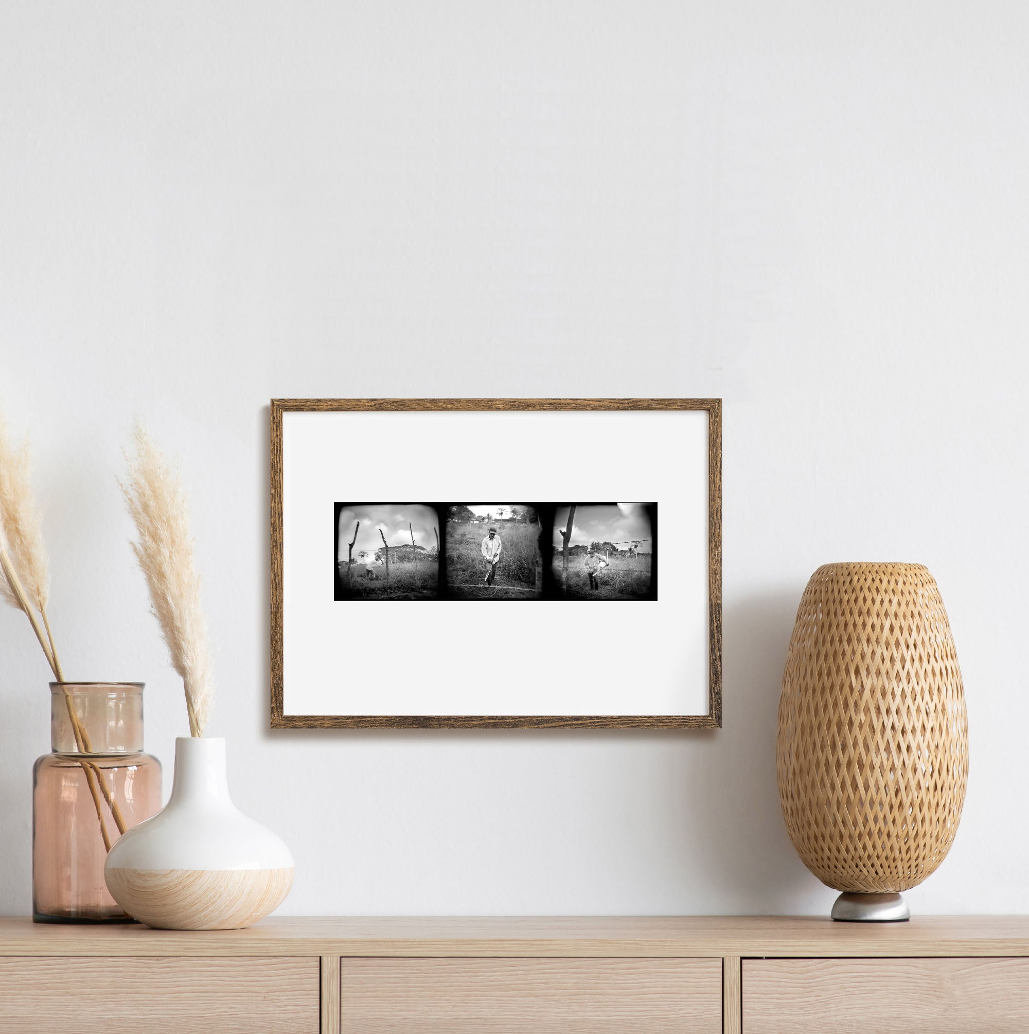 Pineapple Harvest, Rancho El Paraiso, Honduras print, by Tadd Myers