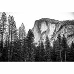 Natural Expanse - Yosemite-2