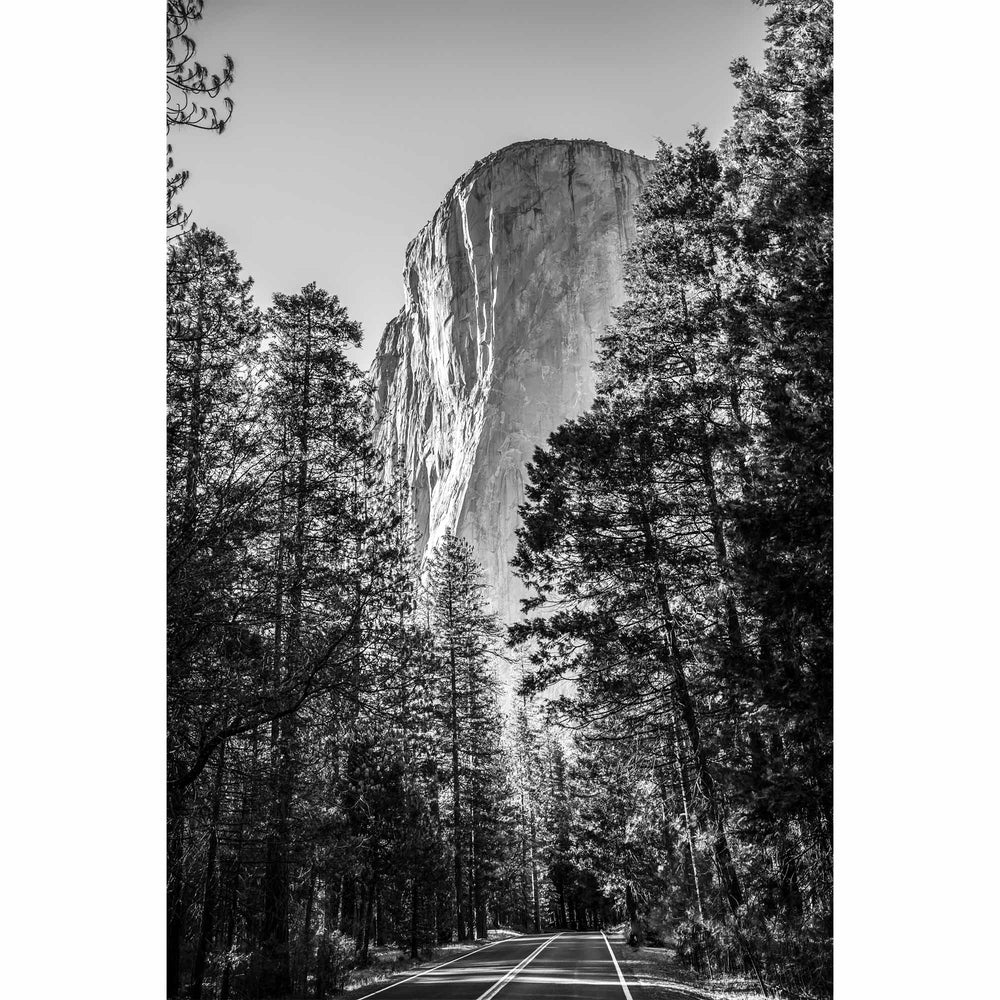 Natural Expanse - Yosemite-3
