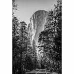 Natural Expanse - Yosemite-3