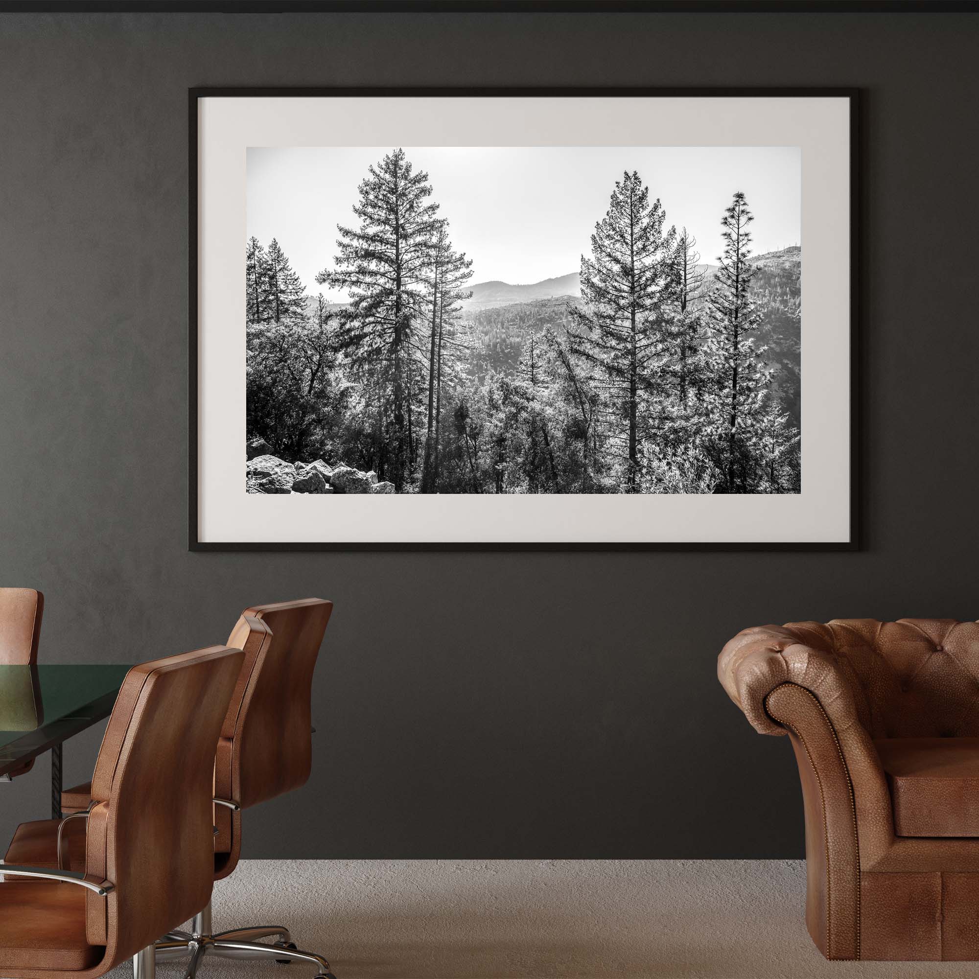 Yosemite Landscape print on a wall, Tadd Myers Photography