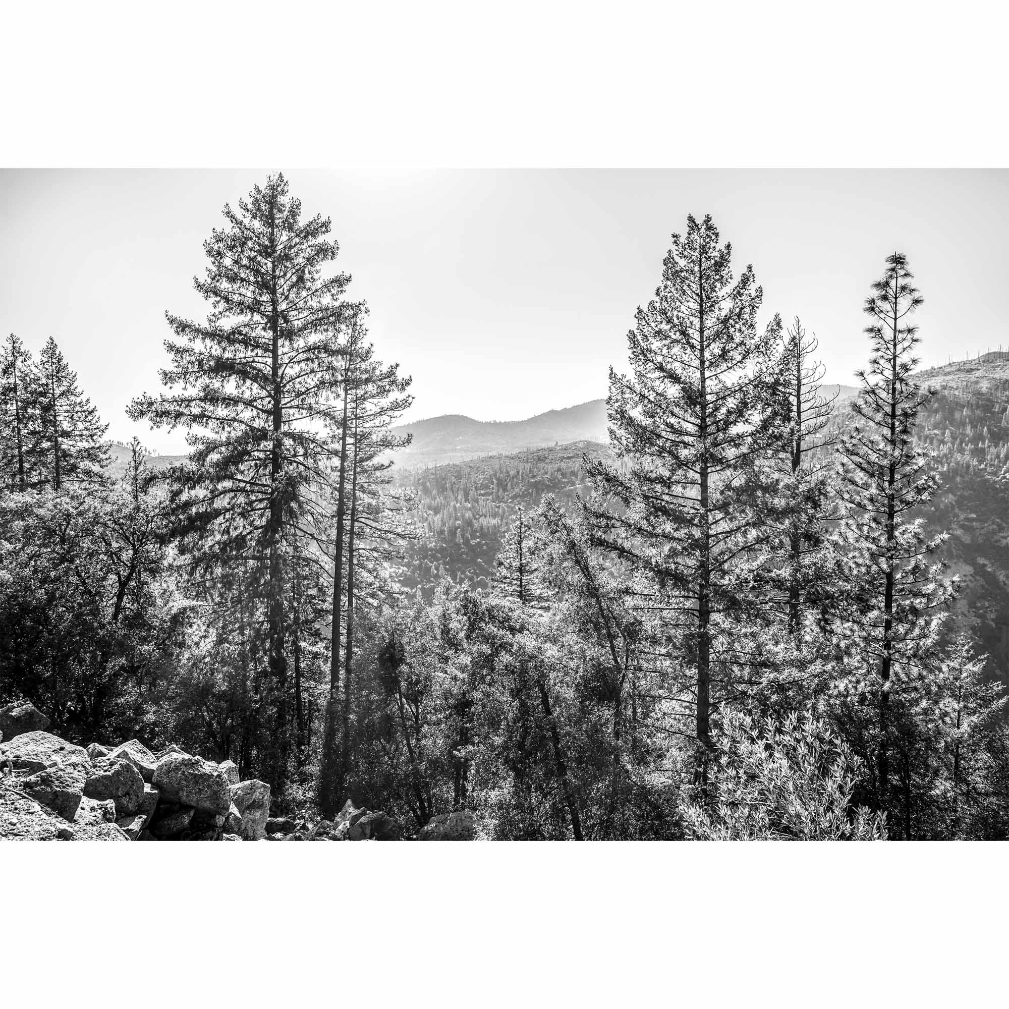 Yosemite Landscape print, Tadd Myers Photography