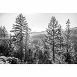Natural Expanse - Yosemite-4