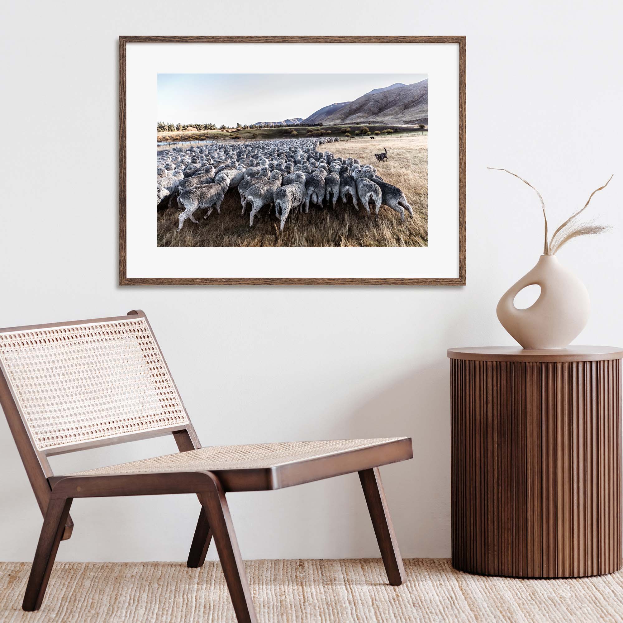 New Zealand Sheep Farm, Tadd Myers Photography