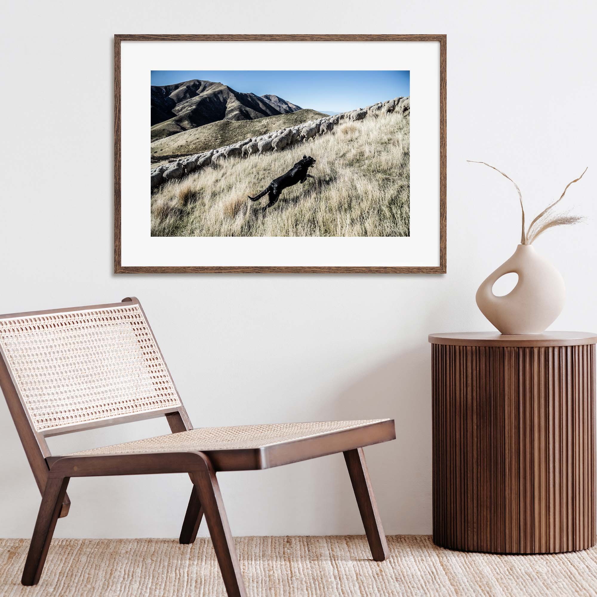 New Zealand Sheep Farm, Tadd Myers Photography