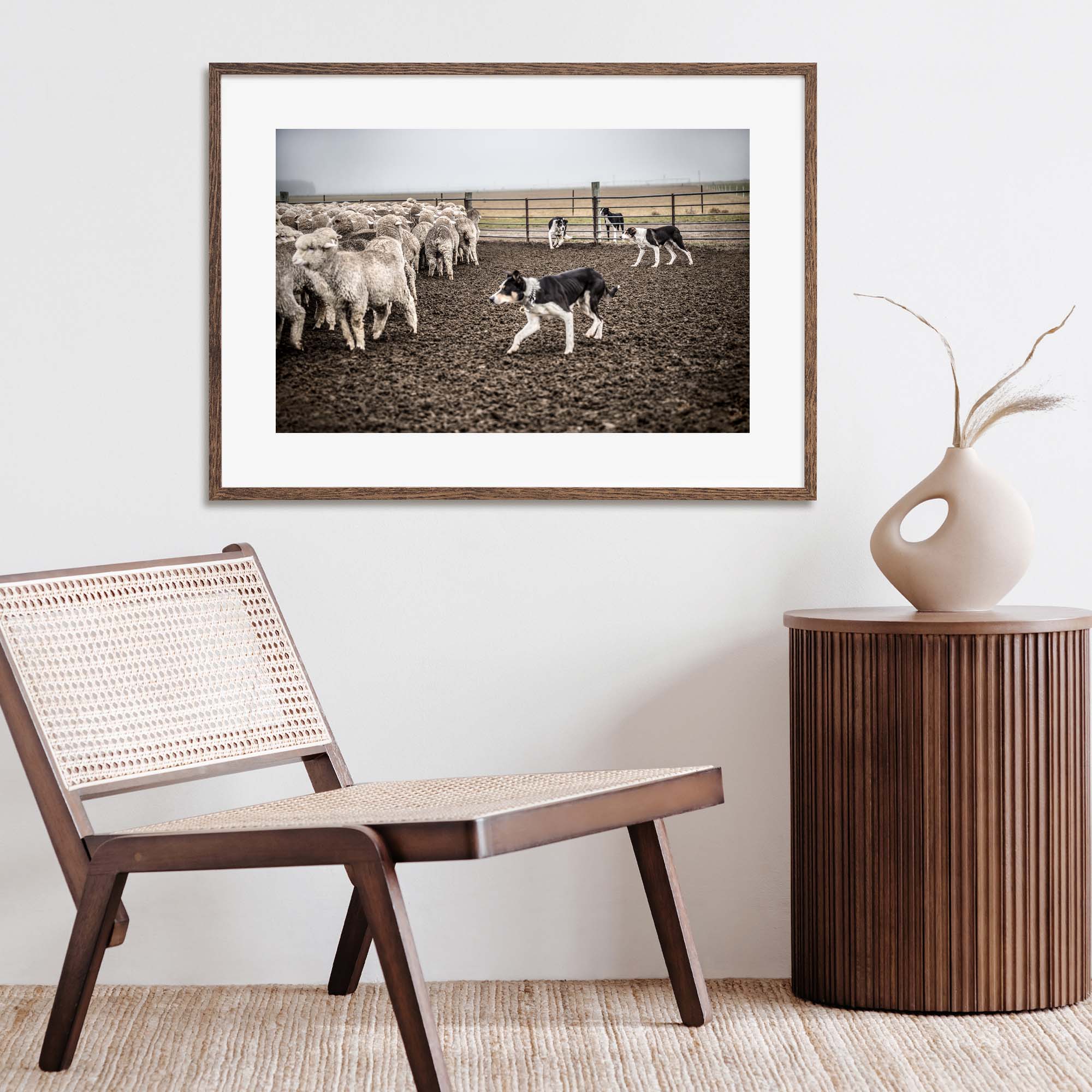 New Zealand Sheep Farm, Tadd Myers Photography