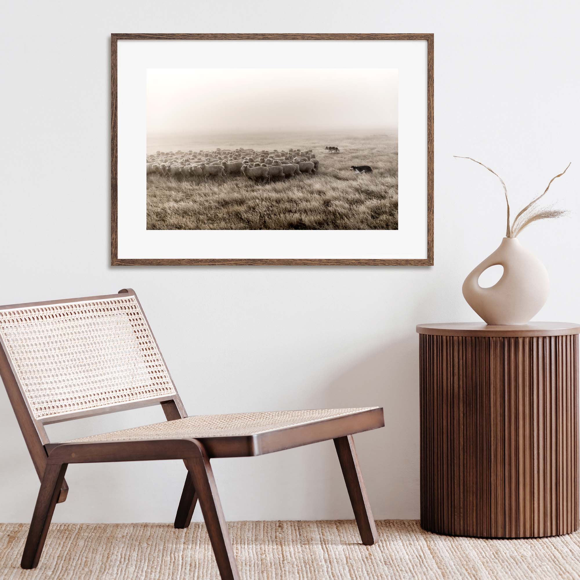 New Zealand Sheep Farm, Tadd Myers Photography