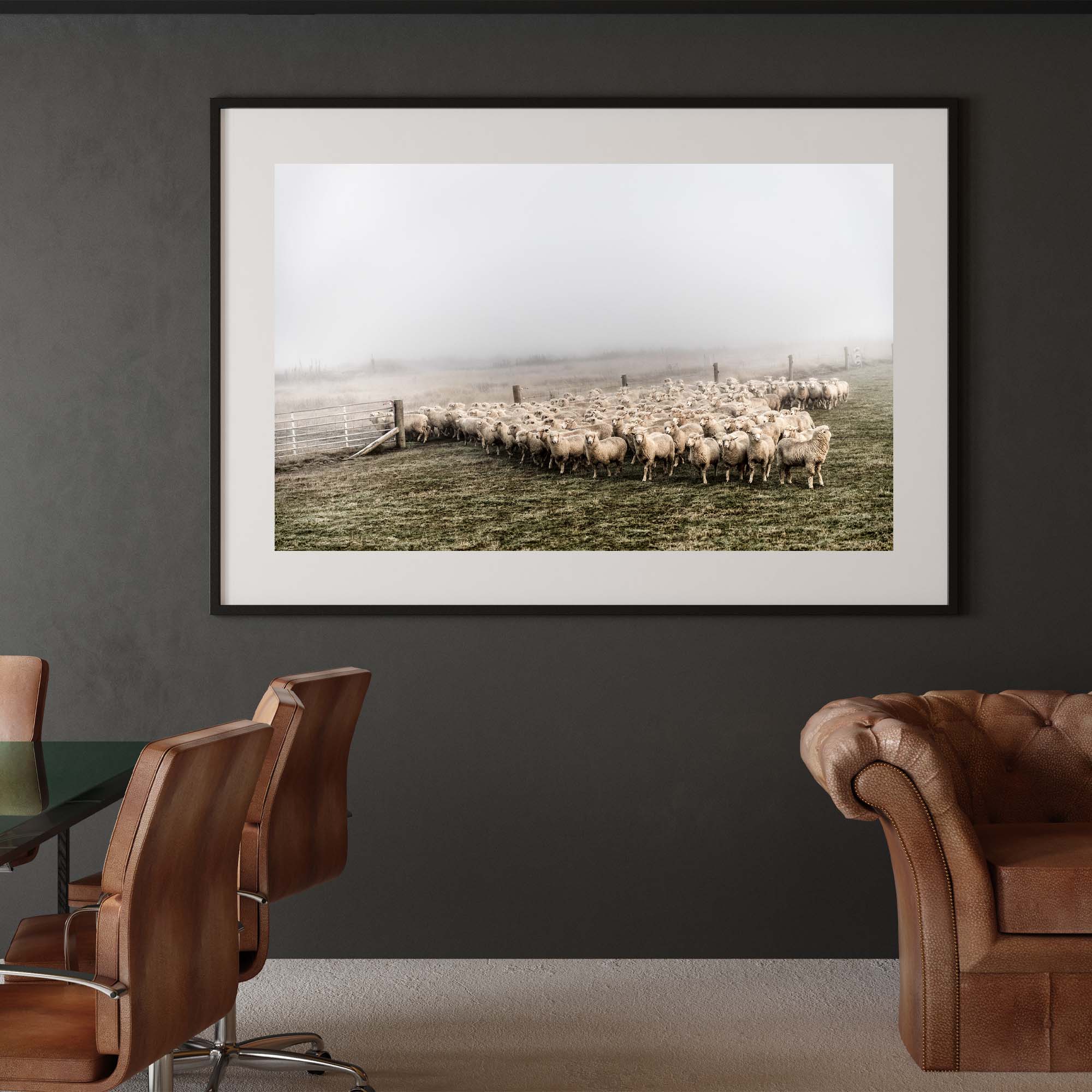 New Zealand Sheep Farm, Tadd Myers Photography