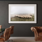 New Zealand Sheep Farm, Tadd Myers Photography