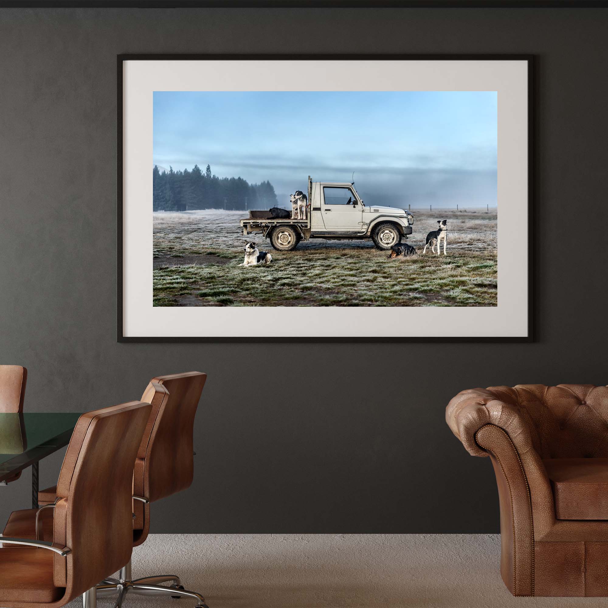 New Zealand Sheep Farm, Tadd Myers Photography