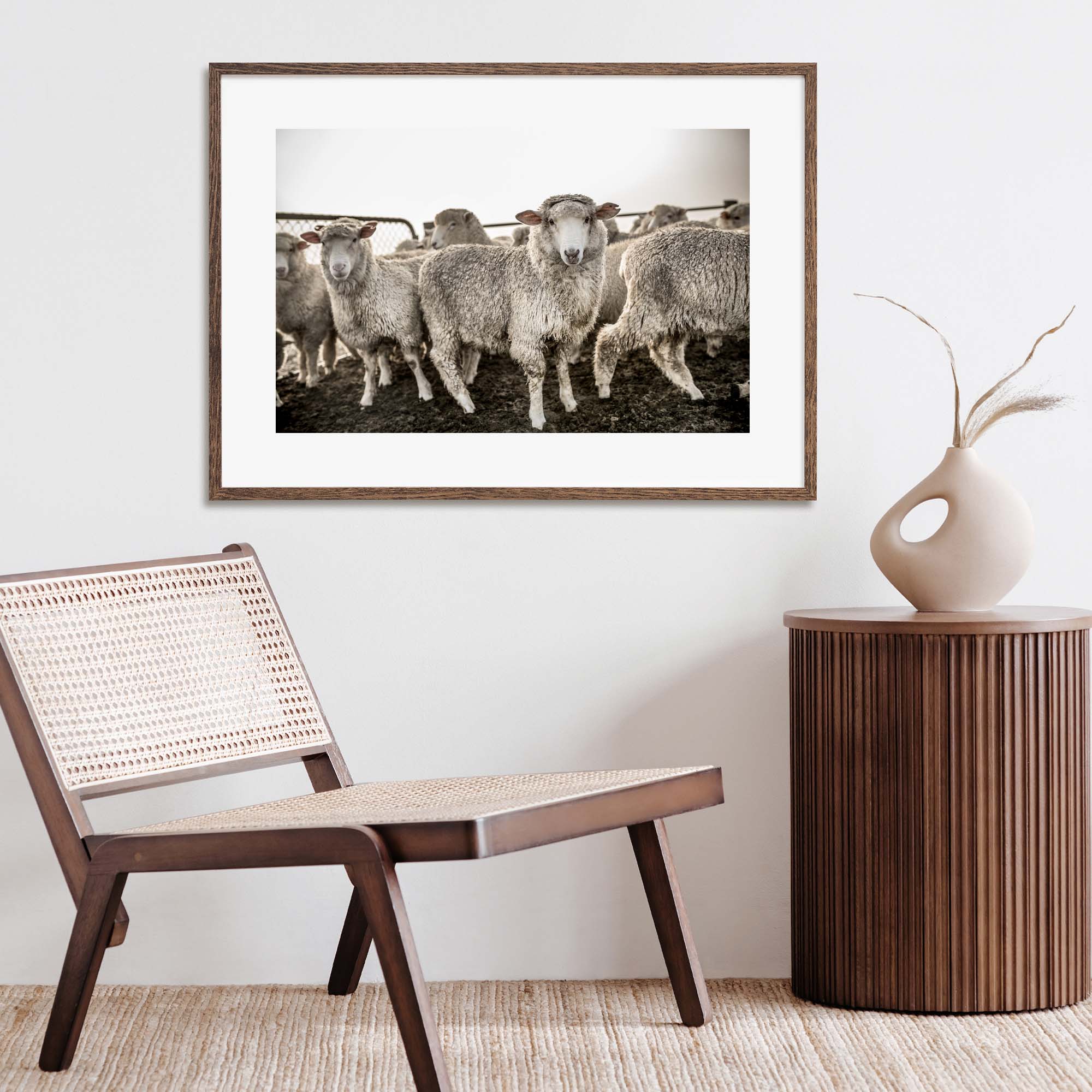 New Zealand Sheep Farm, Tadd Myers Photography