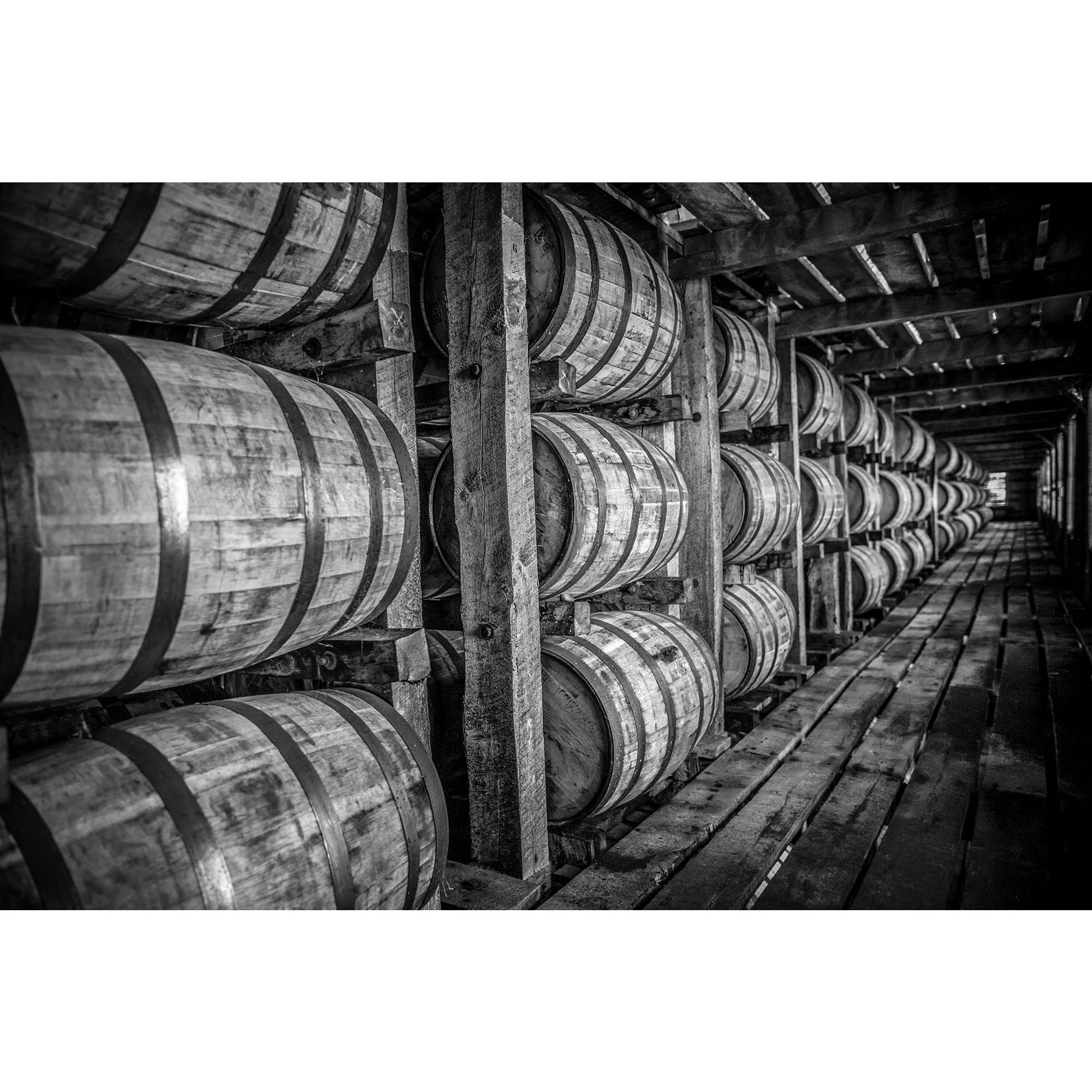 Bourbon Whiskey Barrels - 1, taddmyersprints.com