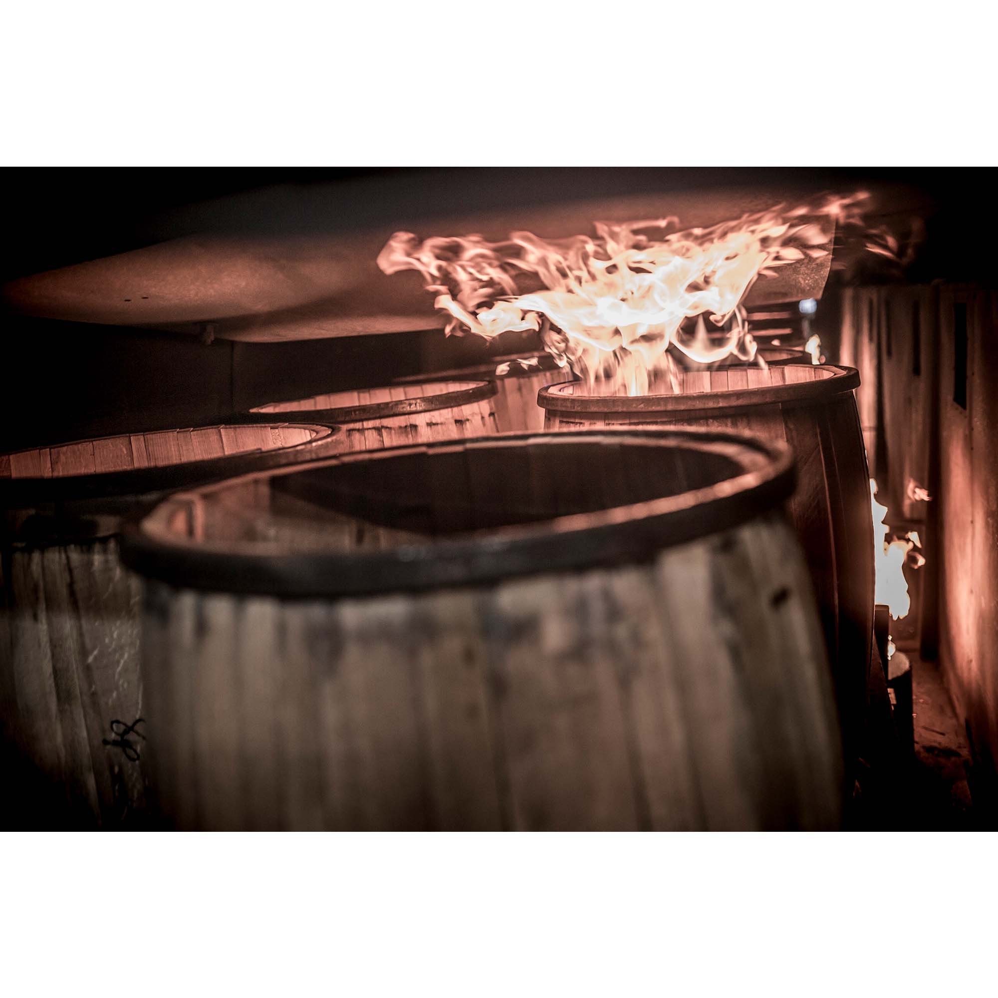 Bourbon Whiskey Barrels - 7, taddmyersprints.com