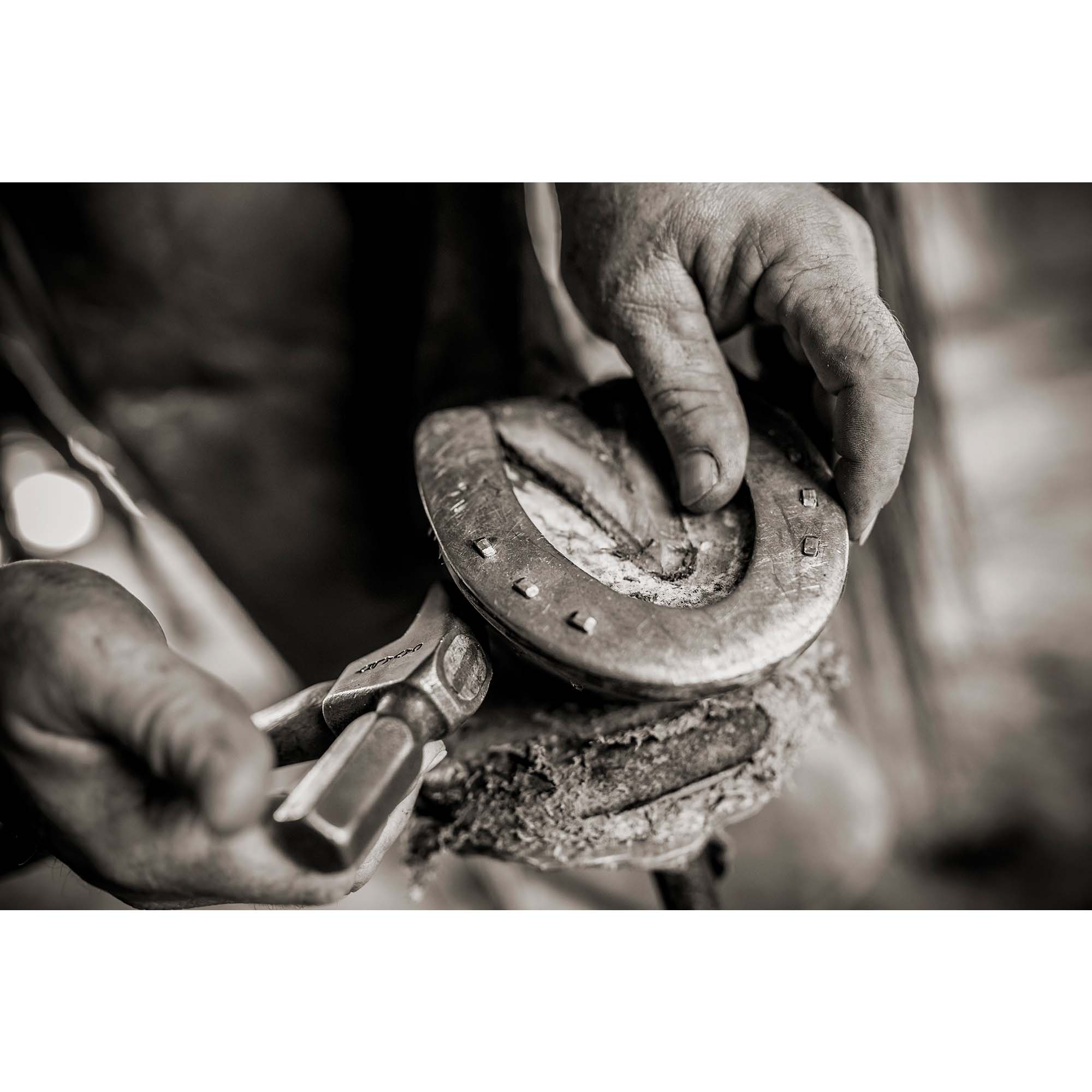 The Cattle Ranch Ferrier - 12, taddmyersprints.com