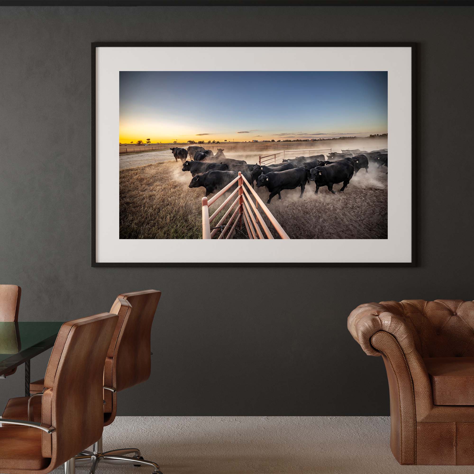 Tadd Myers photography of Texas Cattle Ranch - 1, taddmyers.com