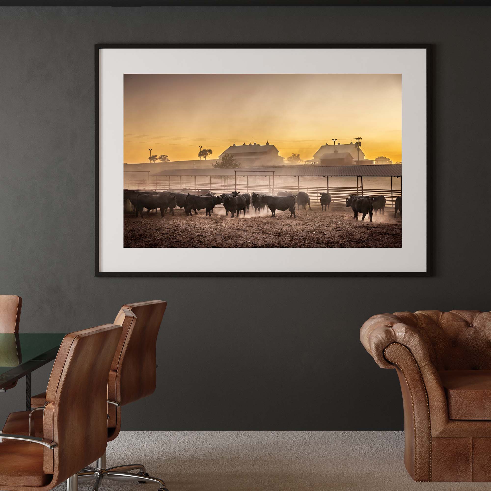 Photo by Tadd Myers, Texas Cattle Ranch - 2, taddmyersprints.com