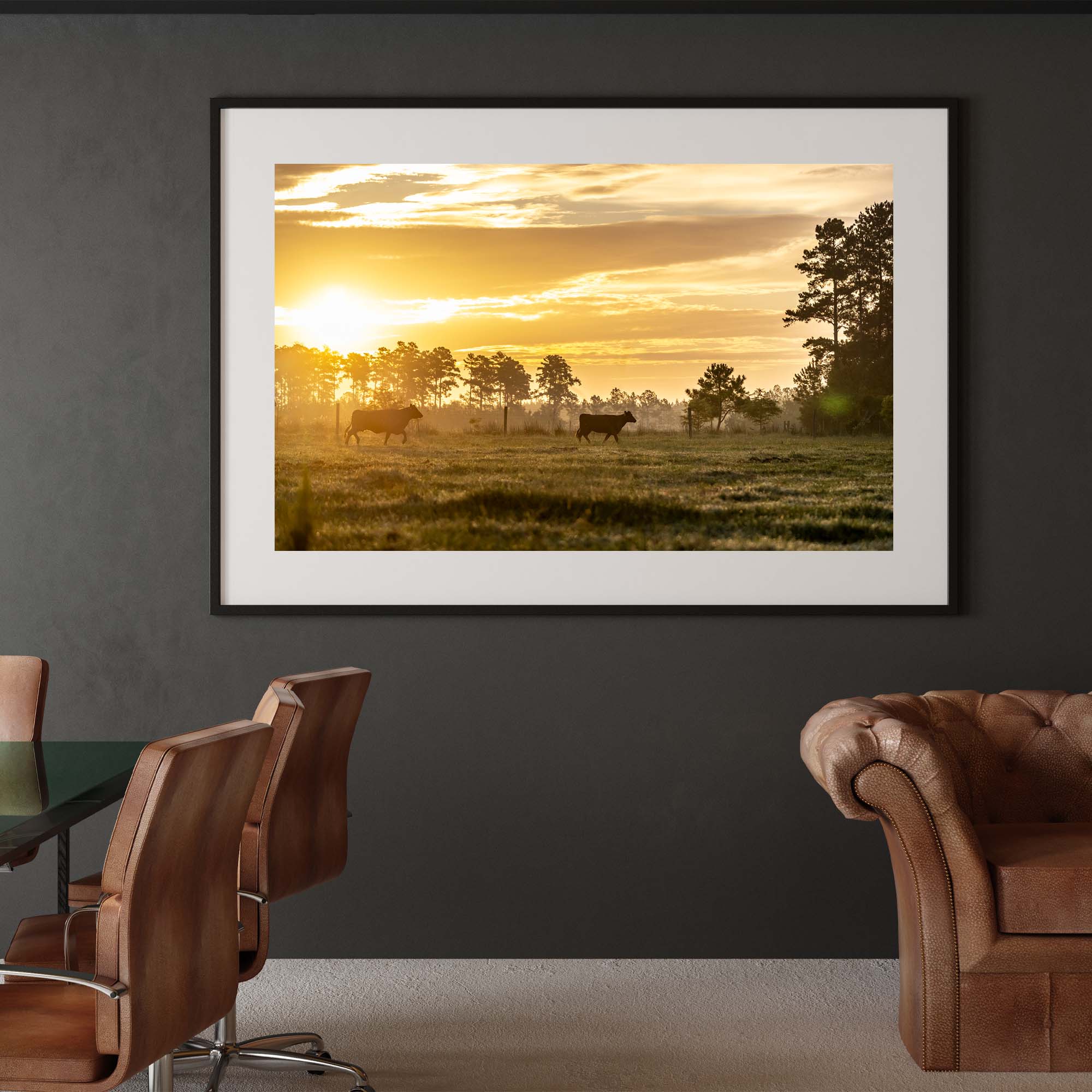 Tadd Myers photography Texas Cattle Ranch - 4, taddmyersprints.com