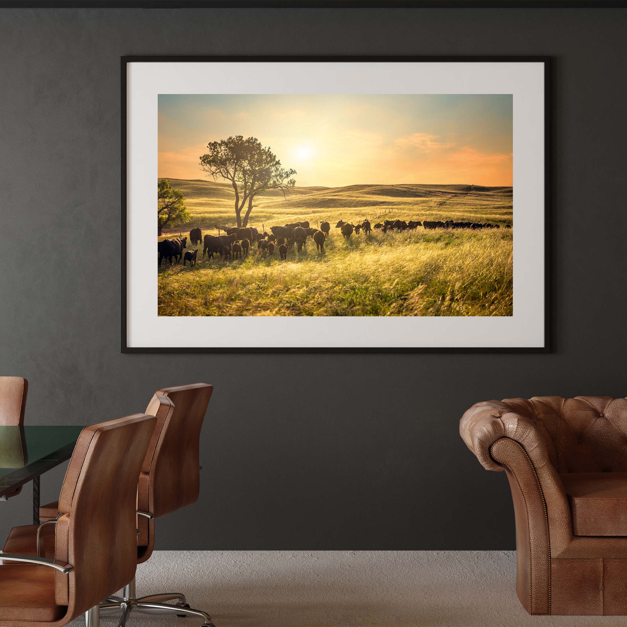 Tadd Myers photographs Nebraska Cattle Ranch - 5, taddmyerspints.com