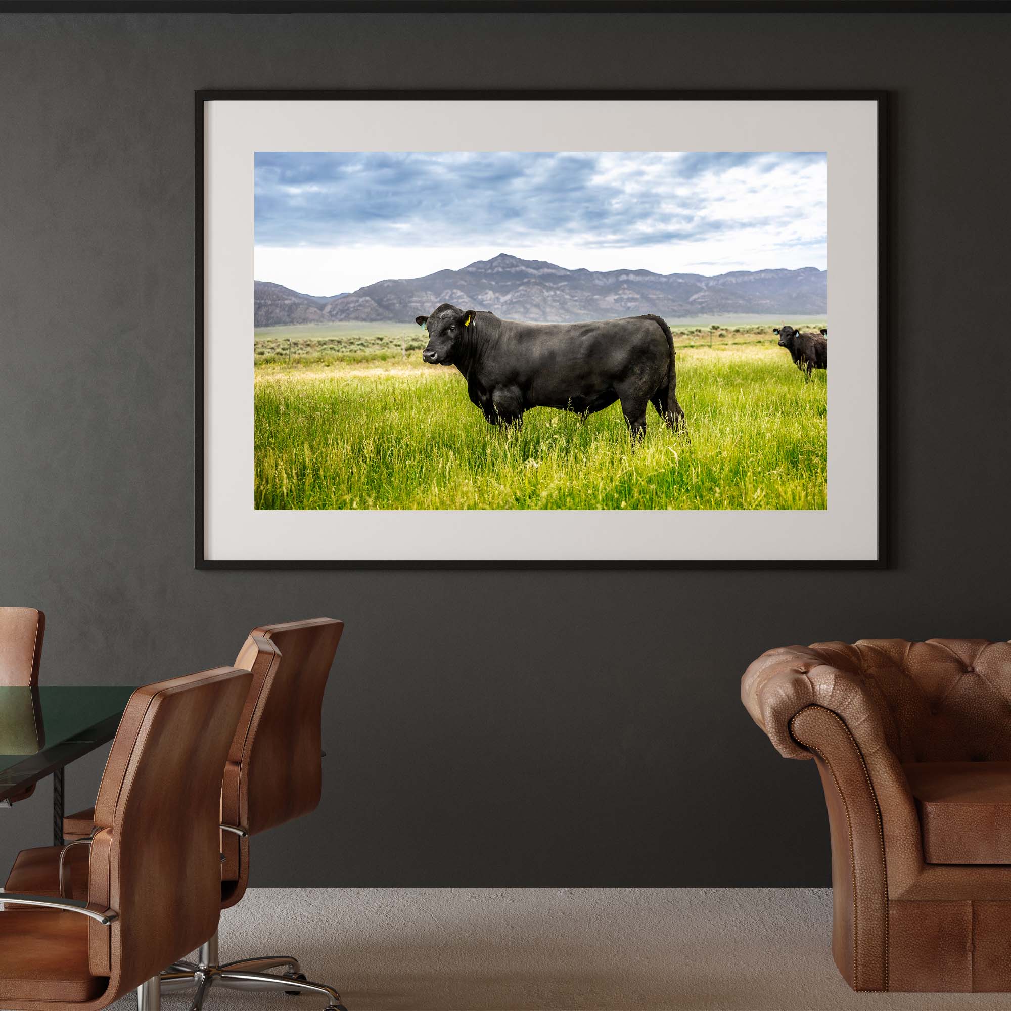 Tadd Myers photographs Nevada Cattle Ranch - 9, taddmyersprints.com