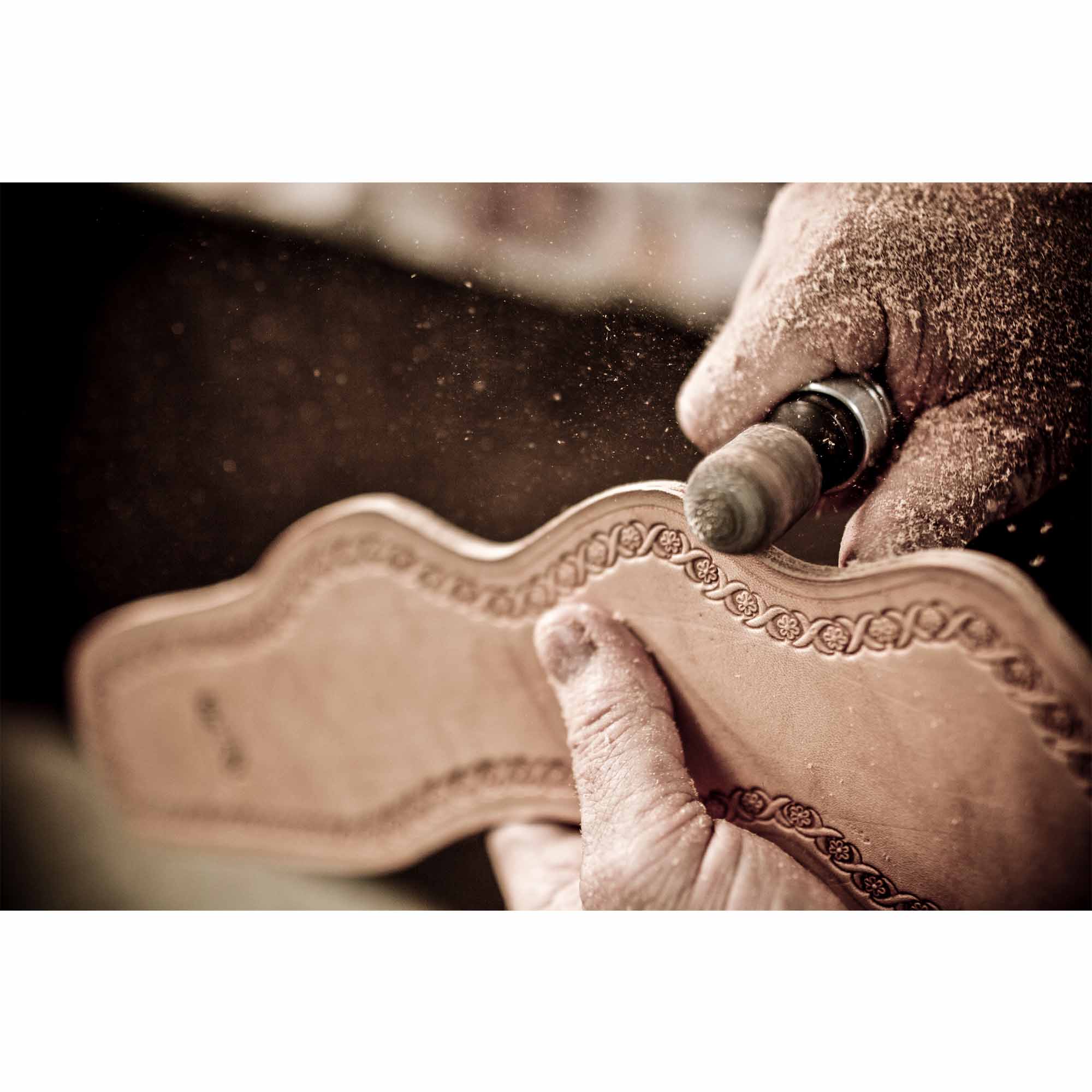 Tadd Myers, Holsters print