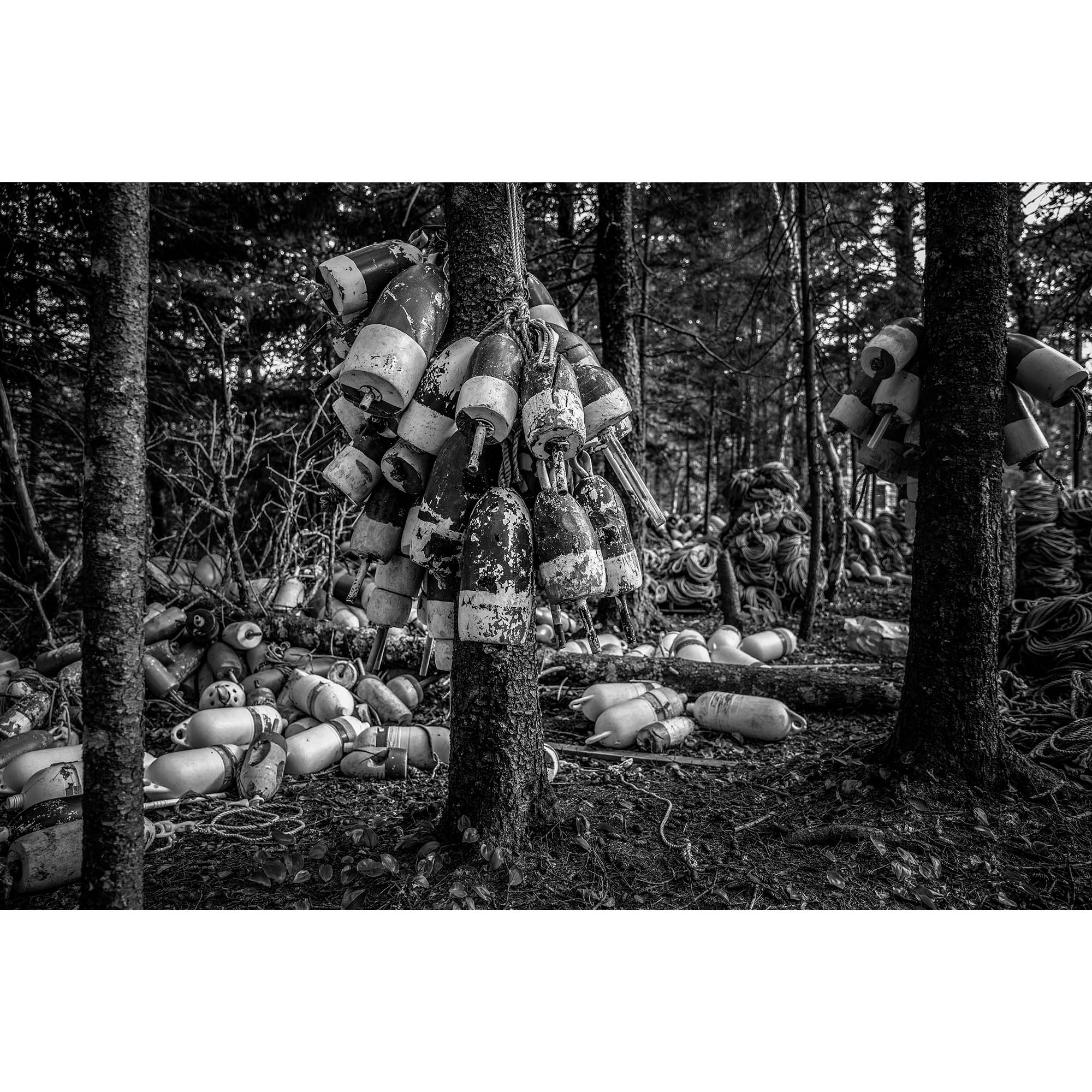 “Lobster Lines, Maine” – Cranberry Isles, Maine, USA - 10, taddmyersprints.com
