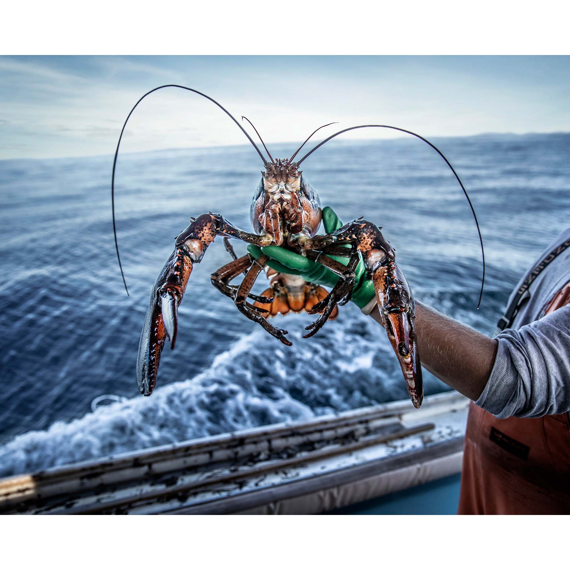 Maine Lobsterman - Little Cranberry Island, Maine, USA - 2, taddmyersprints.com