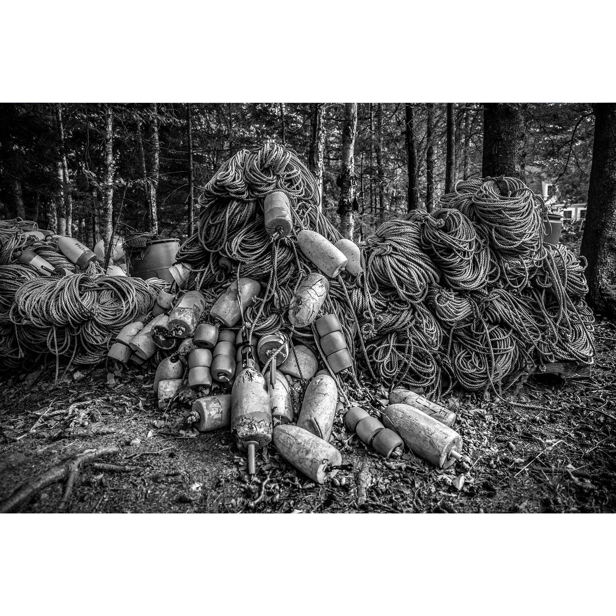 “Lobster Lines, Maine” – Cranberry Isles, Maine, USA - 9, taddmyersprints.com