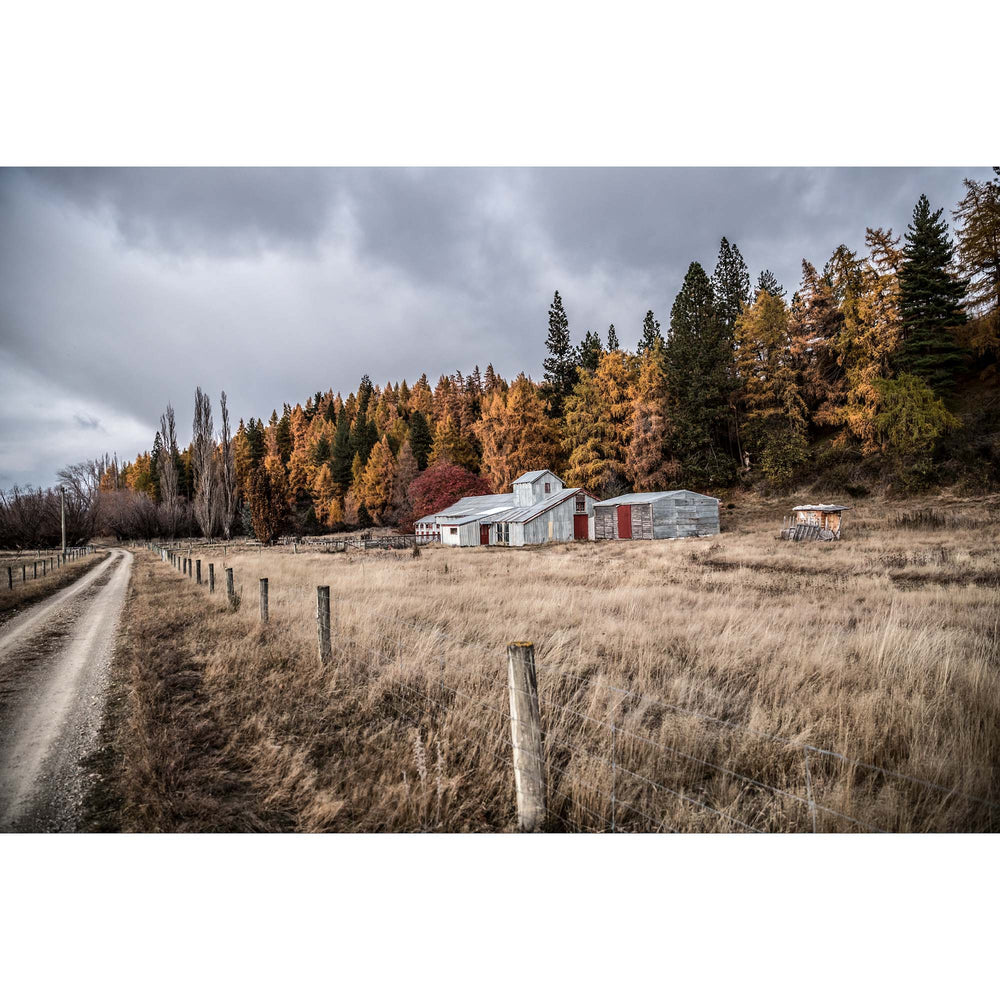Natural Expanse - Sheep Shearing Shed, Twizel, South Island New Zealand