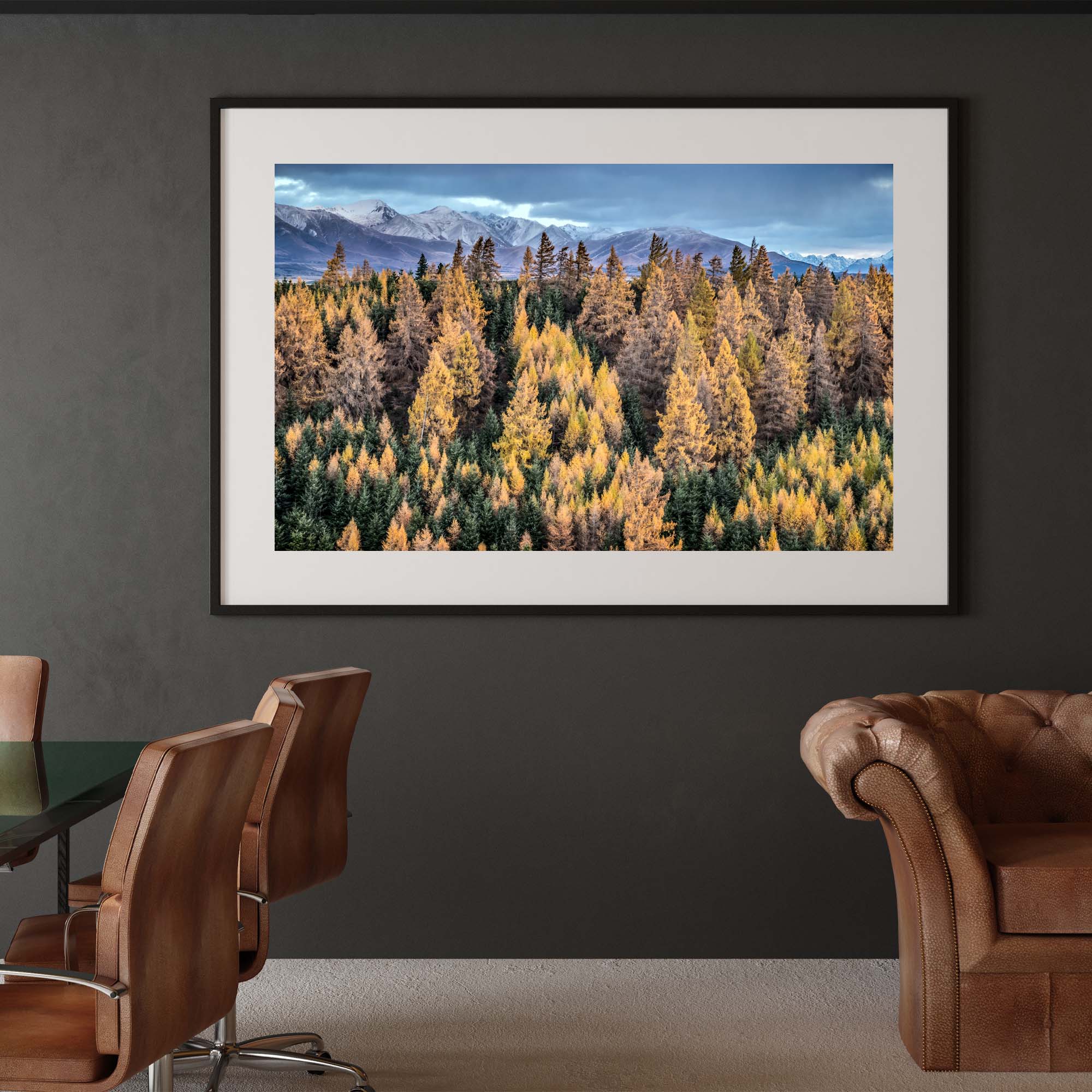 Winter Colors, South Island New Zealand print, photographer: Tadd Myers