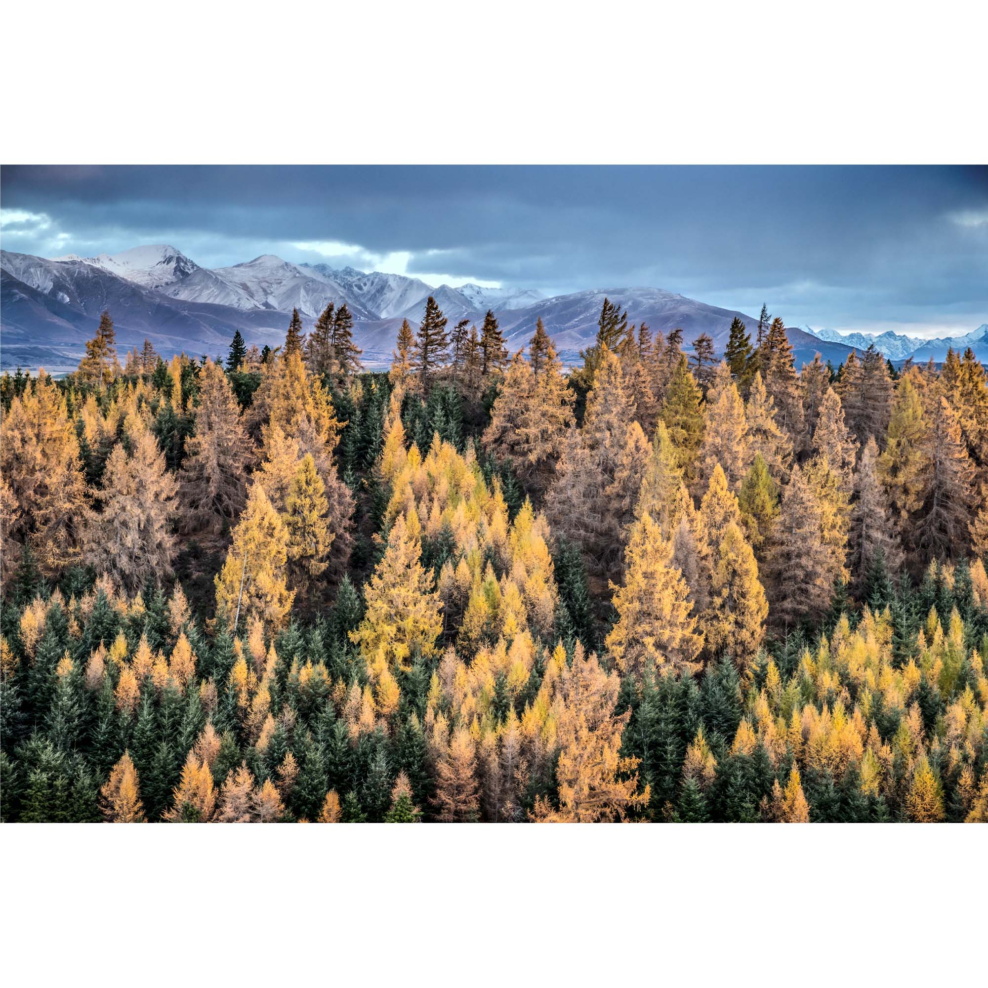 Winter Colors, South Island New Zealand print, photographer: Tadd Myers