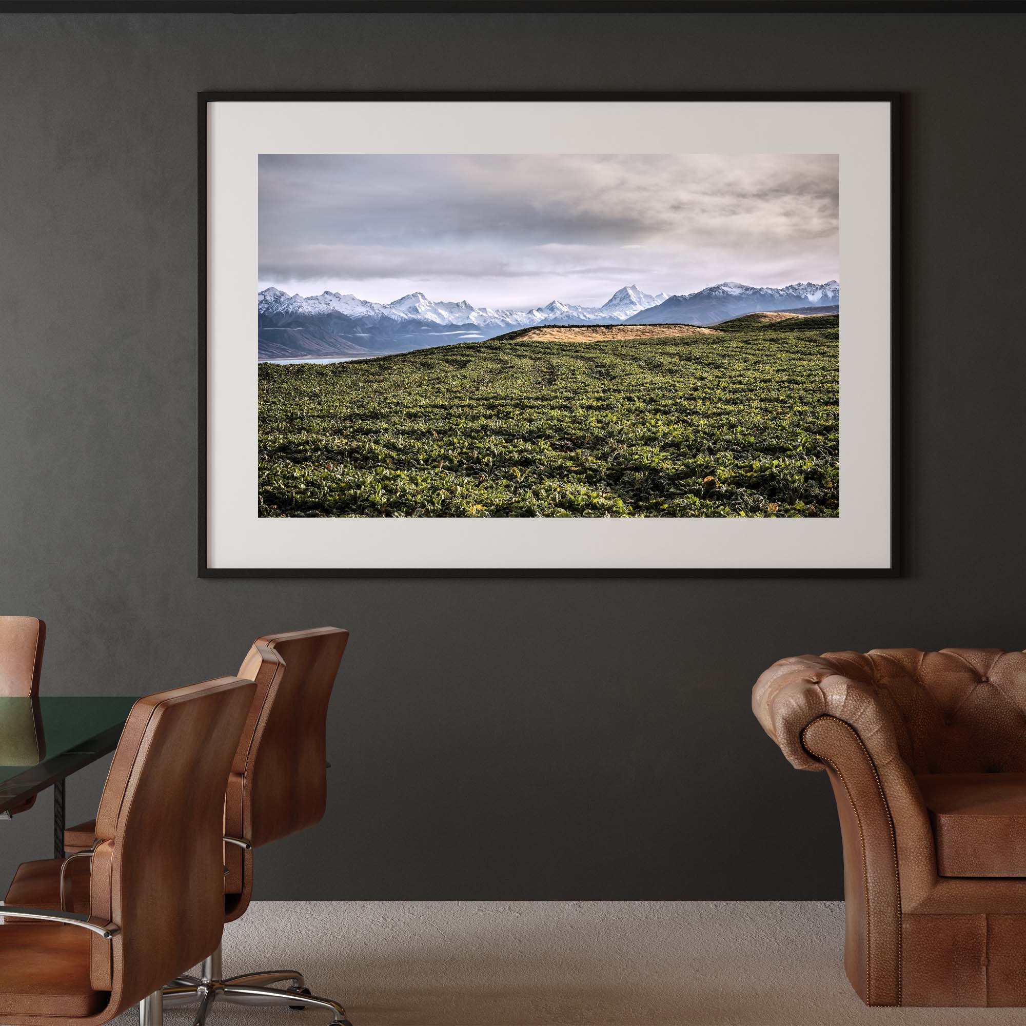 New Zealand Landscape, Tadd Myers Photography print