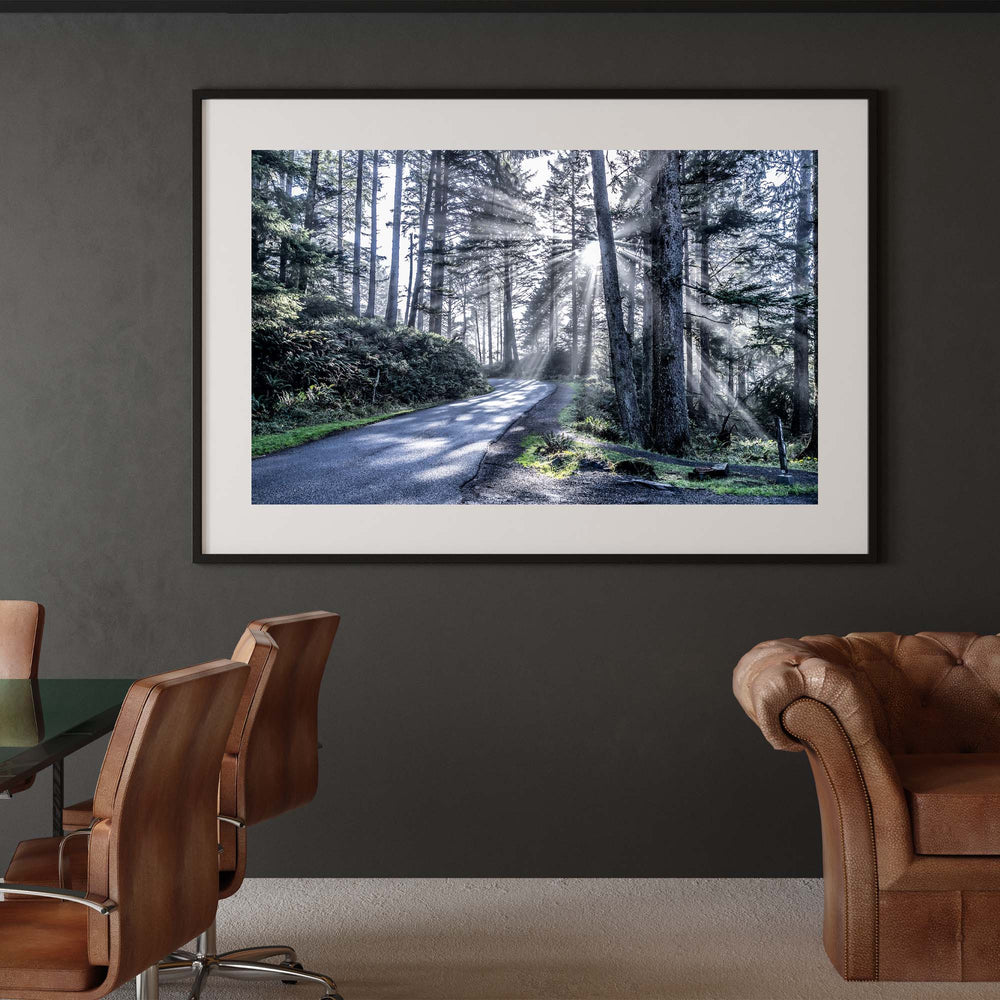 Natural Expanse - Ecola State Park, Oregon