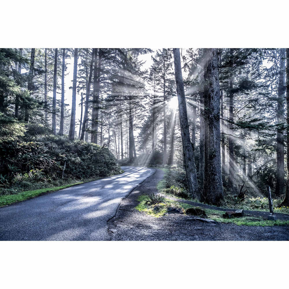 Natural Expanse - Ecola State Park, Oregon