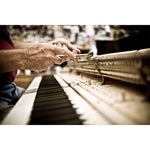 Piano Makers - 4