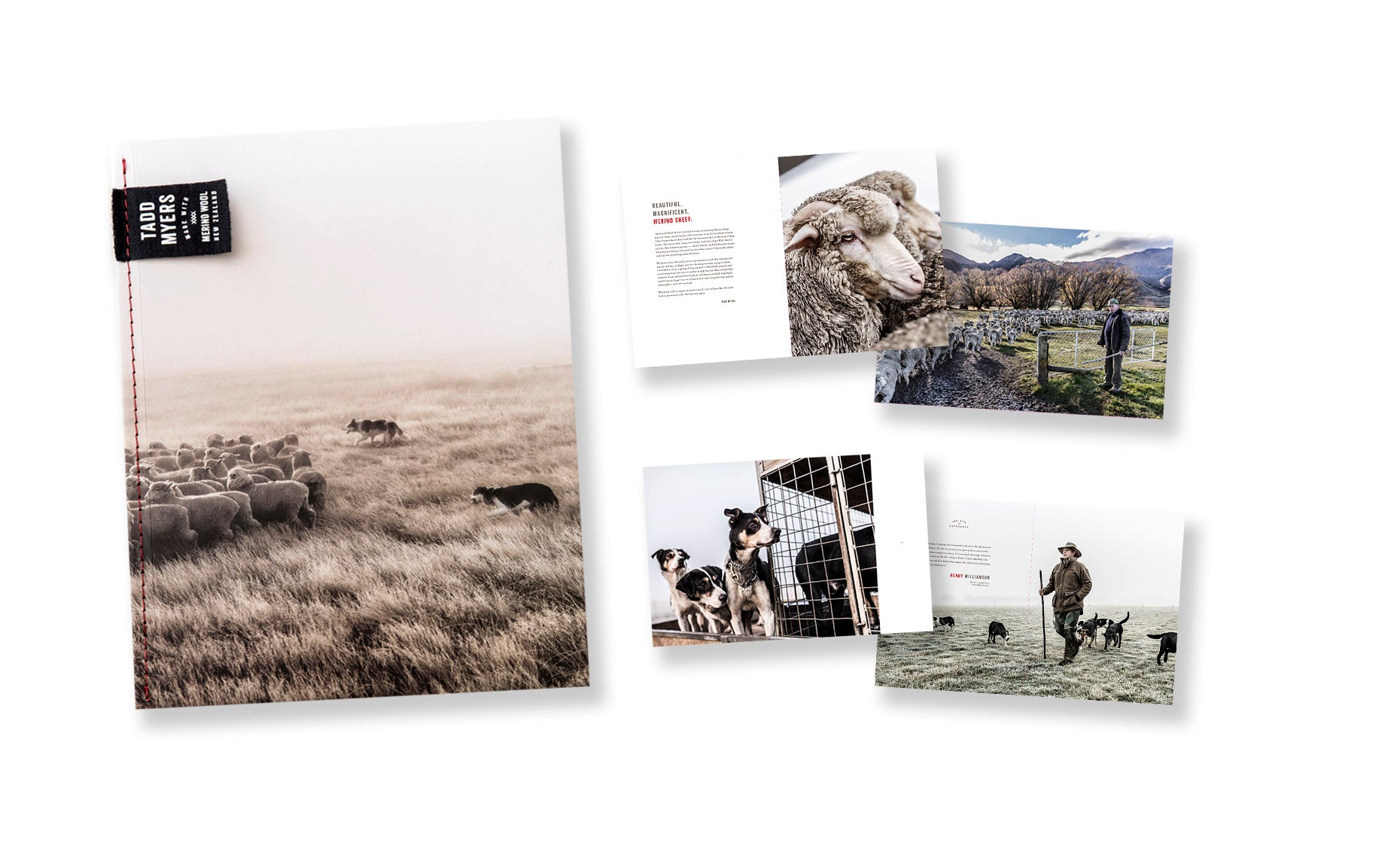 New Zealand Sheep Farm Booklet, cover - Tadd Myers