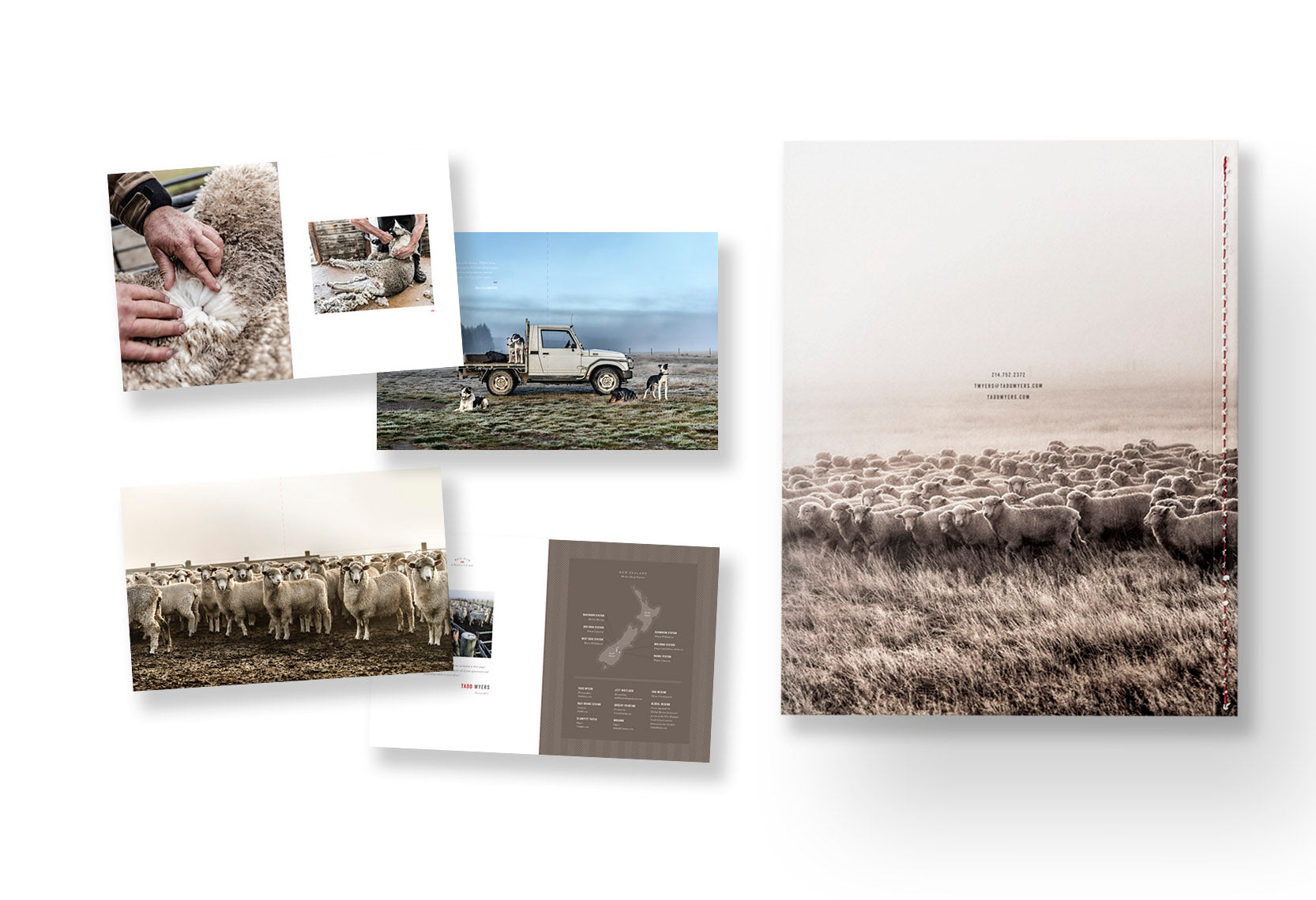 New Zealand Sheep Farm Booklet, back cover - Tadd Myers