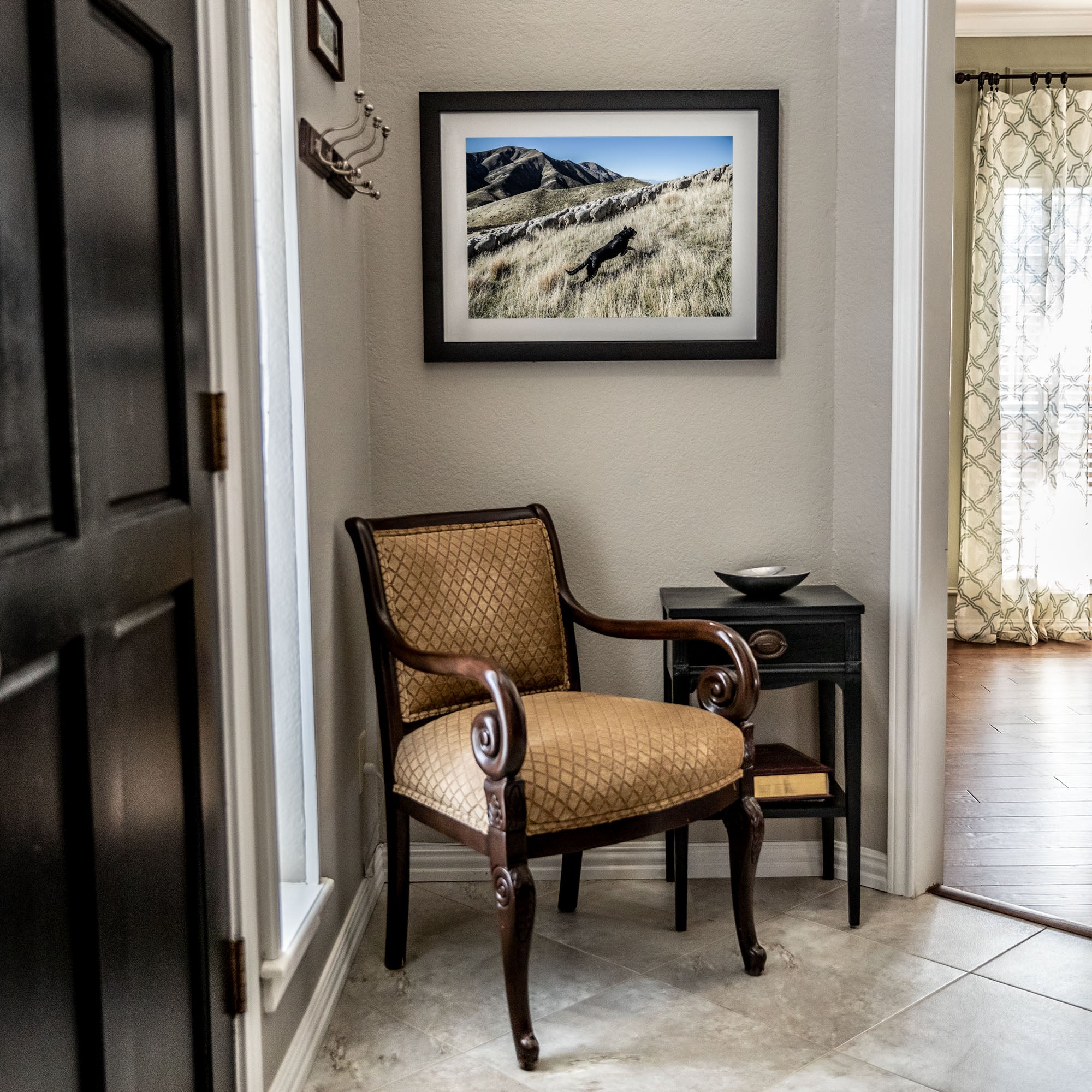 New Zealand Sheep Farm, Tadd Myers Photography