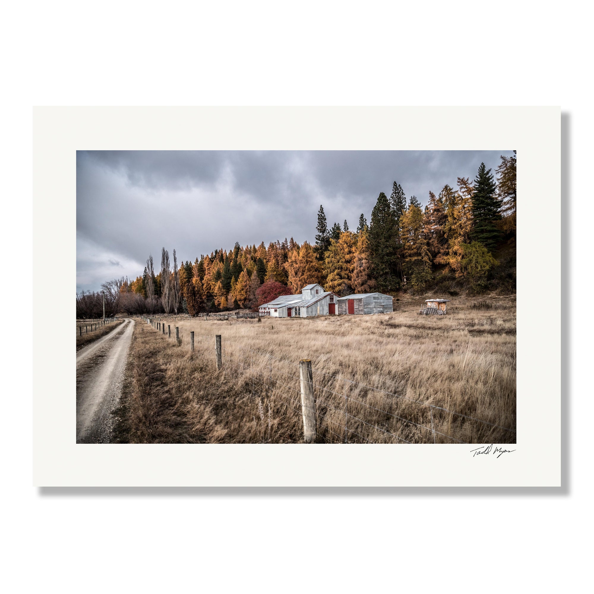 New Zealand Landscape, Tadd Myers Photography