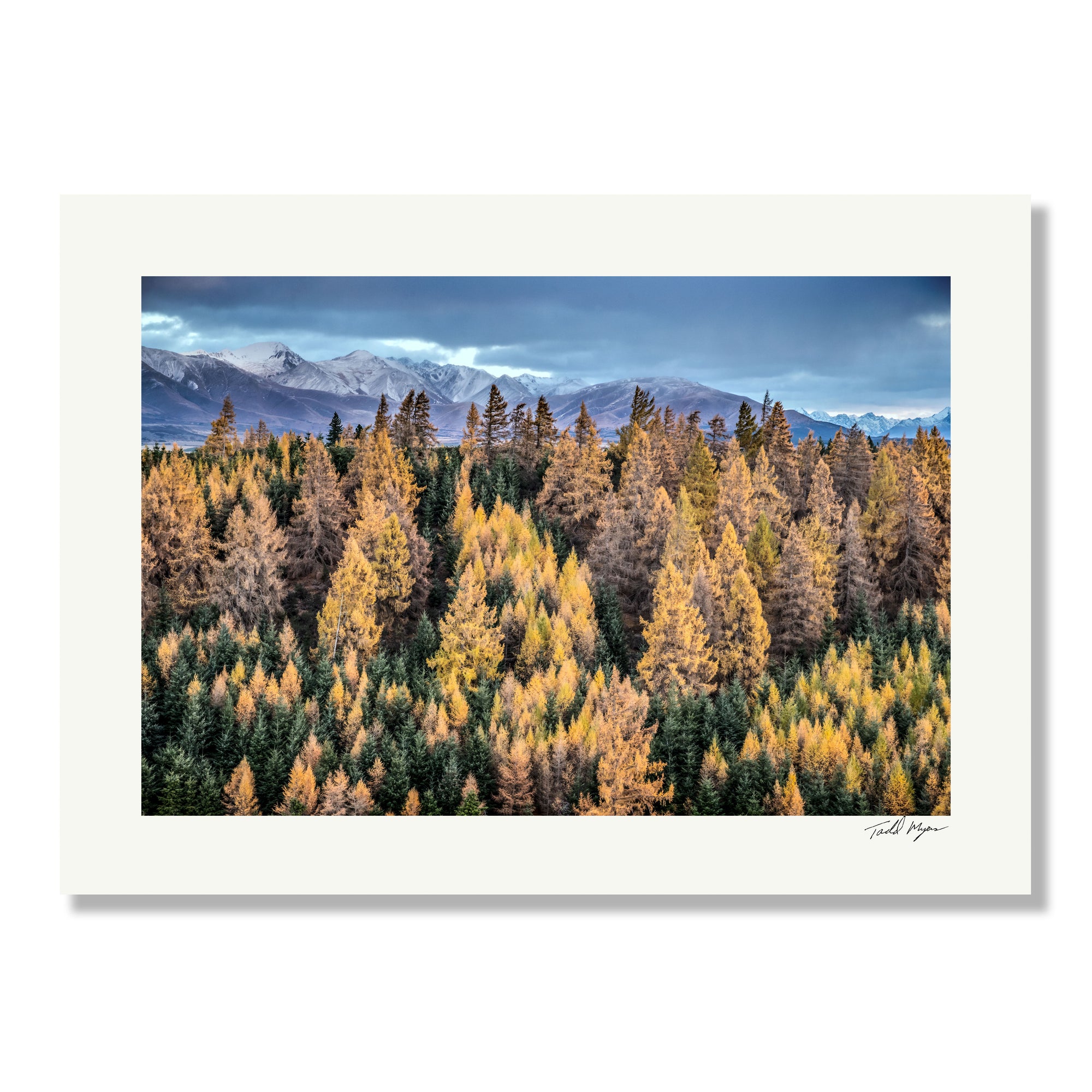 Winter Colors, South Island New Zealand print, photographer: Tadd Myers