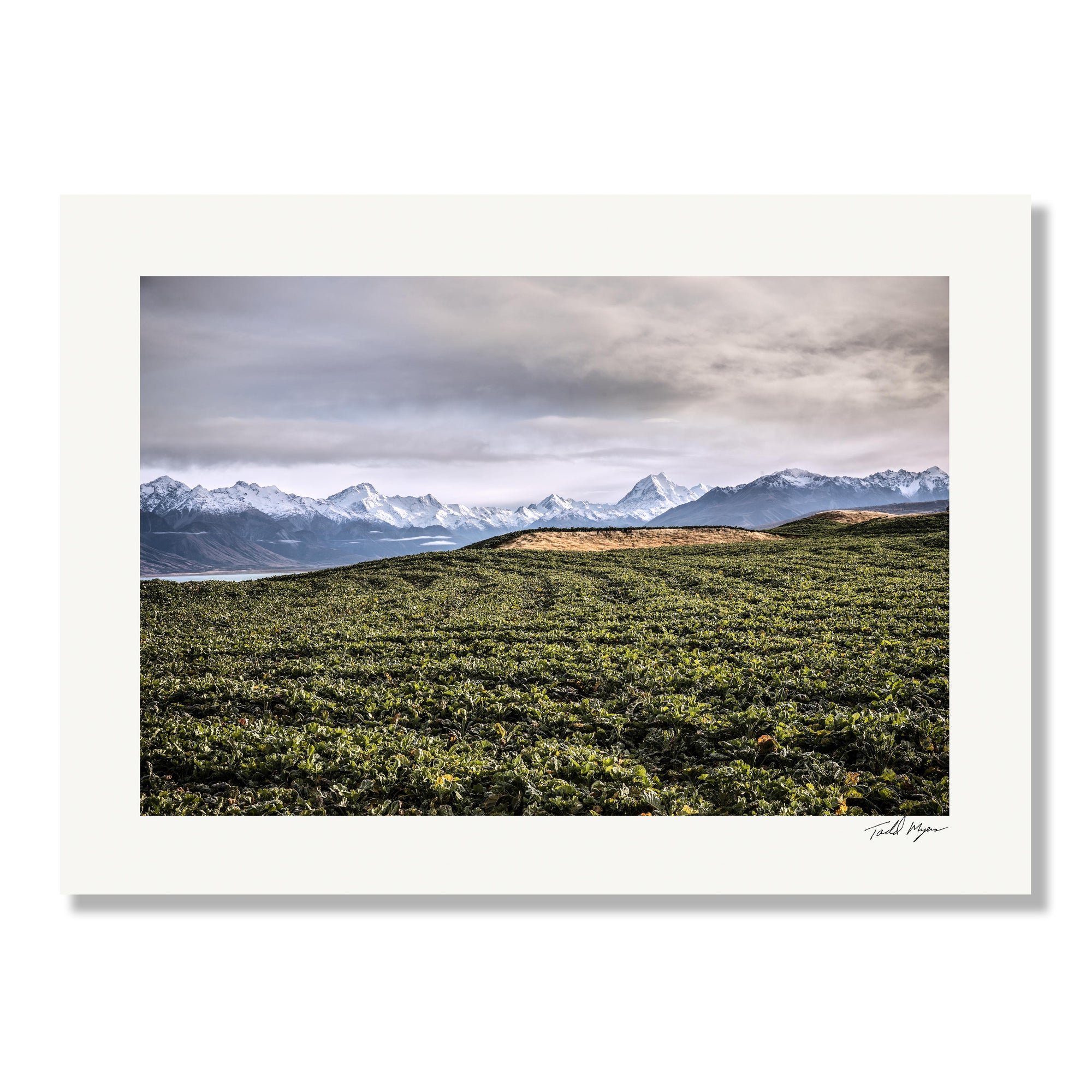 New Zealand Landscape, Tadd Myers Photography print