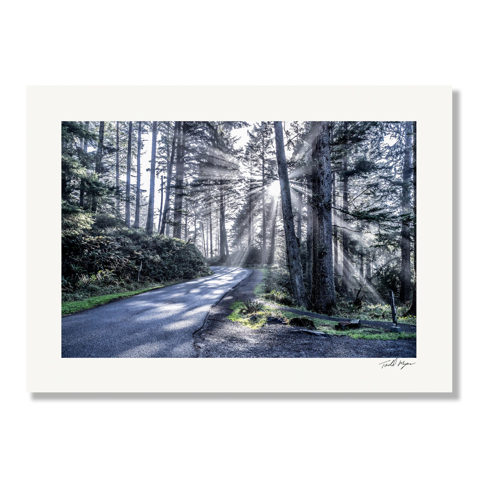 Oregon Landscape, Tadd Myers Photography