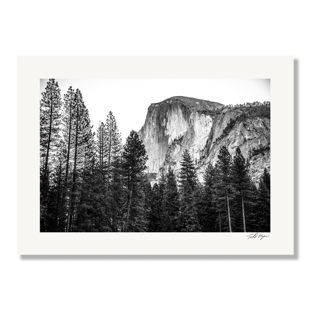 Natural Expanse - Yosemite-2