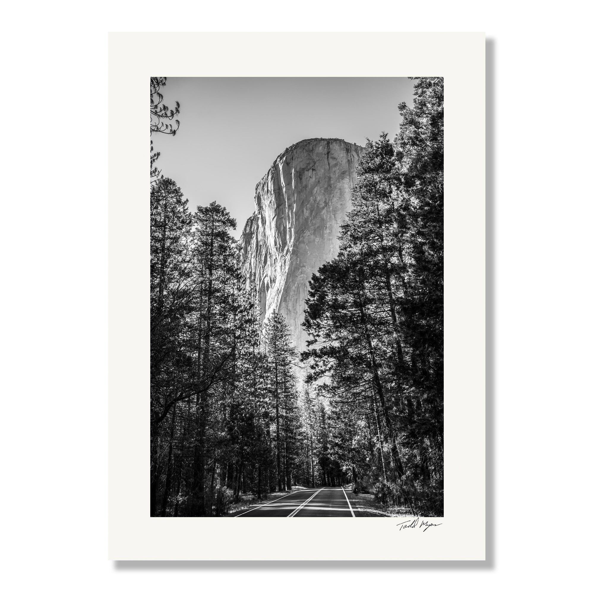 Yosemite Landscape, Tadd Myers Photography