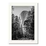 Natural Expanse - Yosemite-3